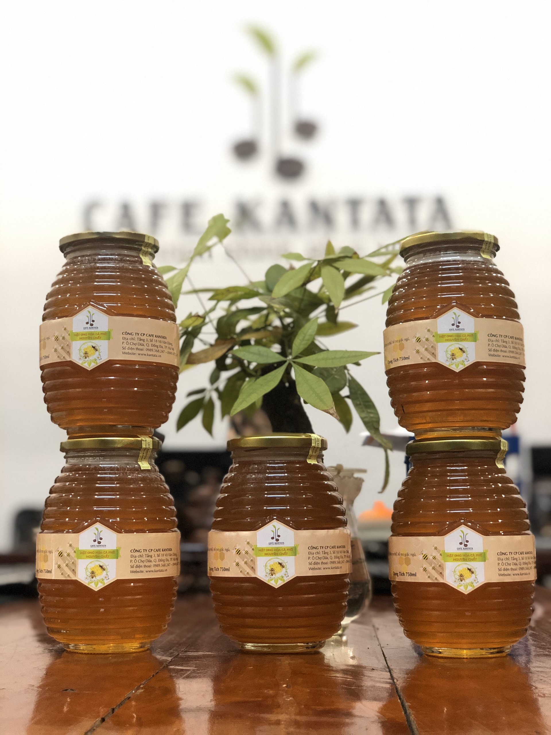 Sản phẩm mật ong hoa cà phê nguyên chất Kantata