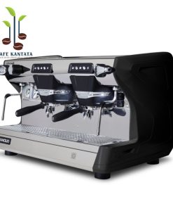 may-pha-ca-phe-chuyen-nghiep-rancilio-classe-5-usb-2-group