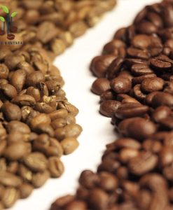 Robusta-and-Arabica-Traditional-Blend-Coffee-Beans-Viet-Nam