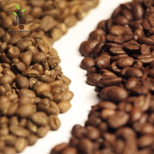 Robusta-and-Arabica-Traditional-Blend-Coffee-Beans-Viet-Nam