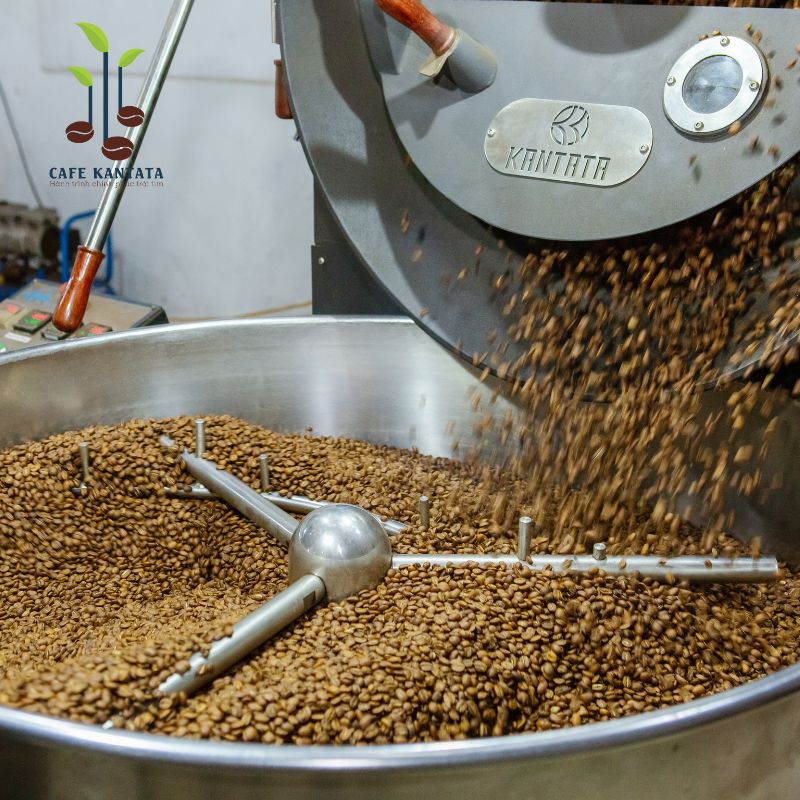 Arabica-coffee-Kantata-Vietnam