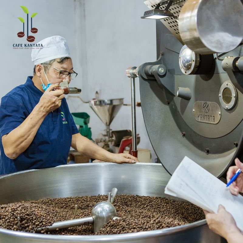 Peaberry coffee-beans-kantata-Vietnam-Production-process