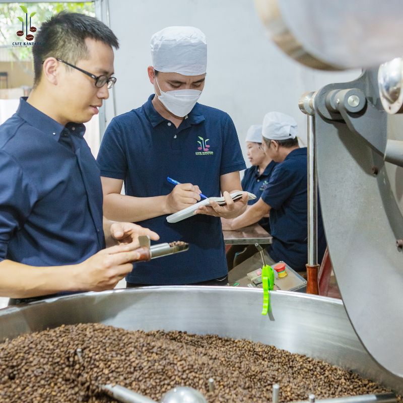 Production-process-Robusta-Viet-Nam