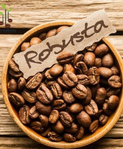 Robusta-Viet-Nam