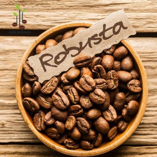 Robusta-Viet-Nam